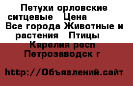 Петухи орловские ситцевые › Цена ­ 1 000 - Все города Животные и растения » Птицы   . Карелия респ.,Петрозаводск г.
